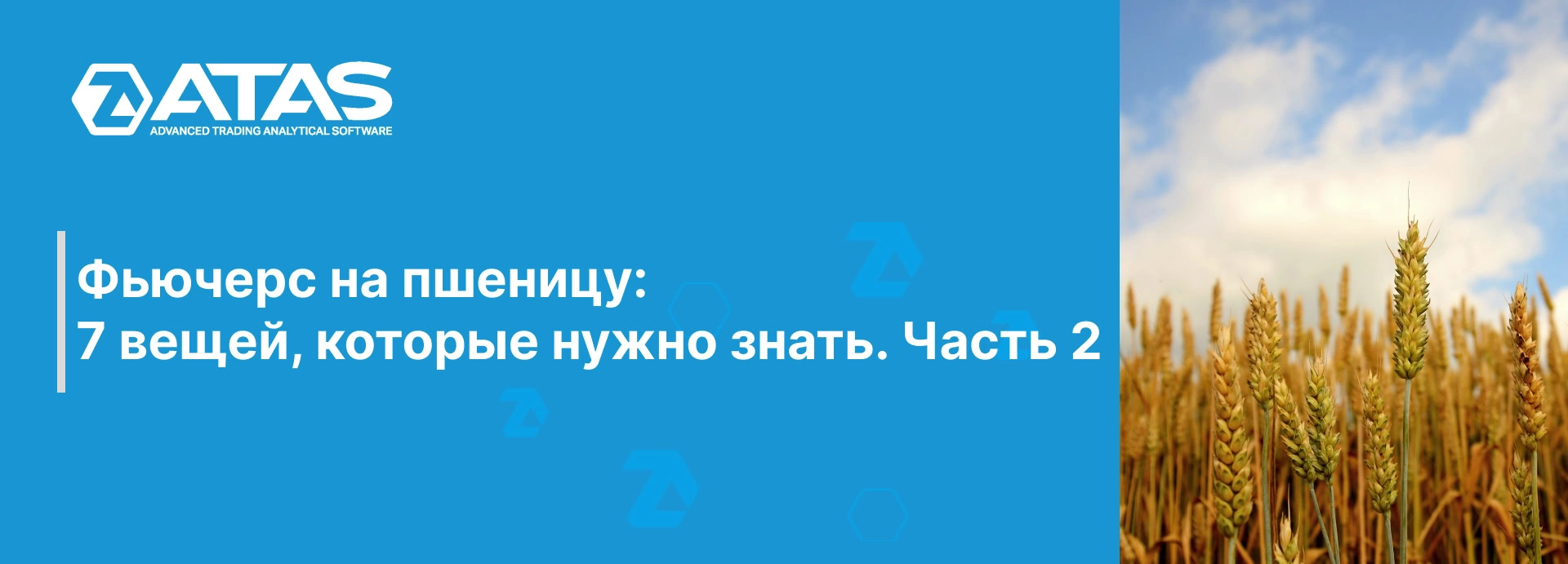 Фьючерс на пшеницу 7 вещей, которые нужно знать. Часть 2