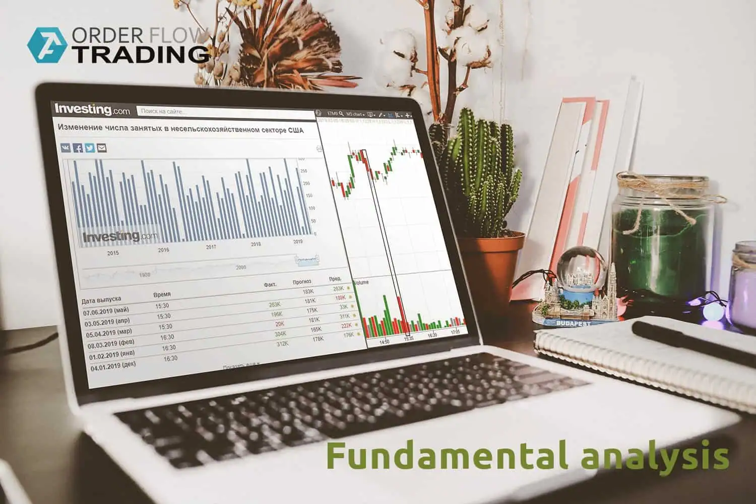 7 features for the fundamental analysis of the fx market