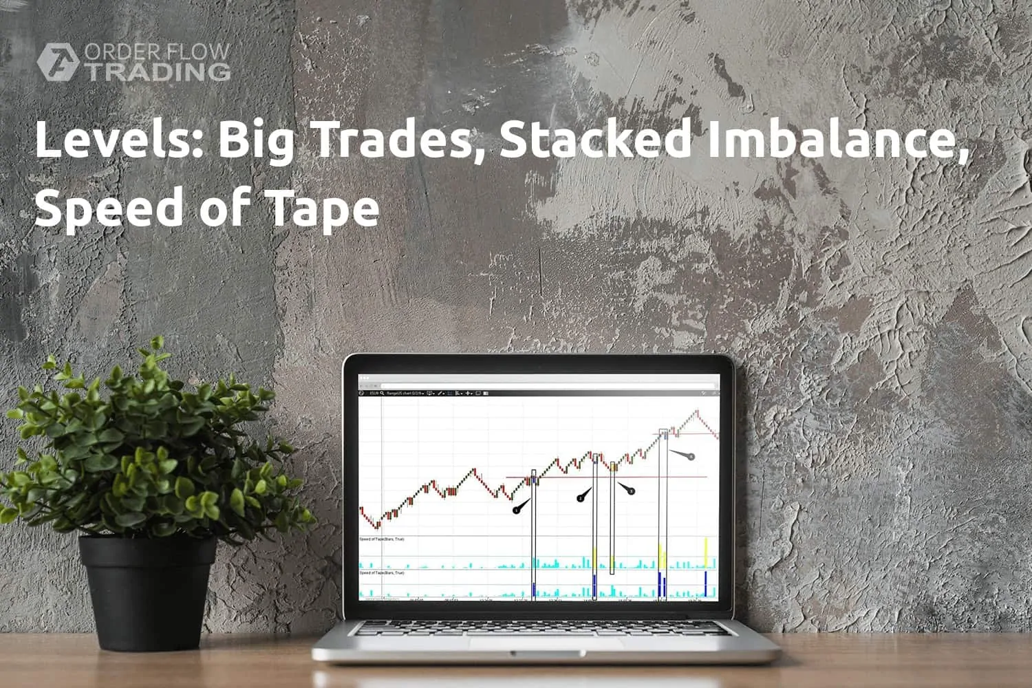 Trading by levels with the Big Trades, Stacked Imbalance and Speed of Tape indicators