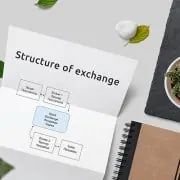 Organizational structure of the exchange