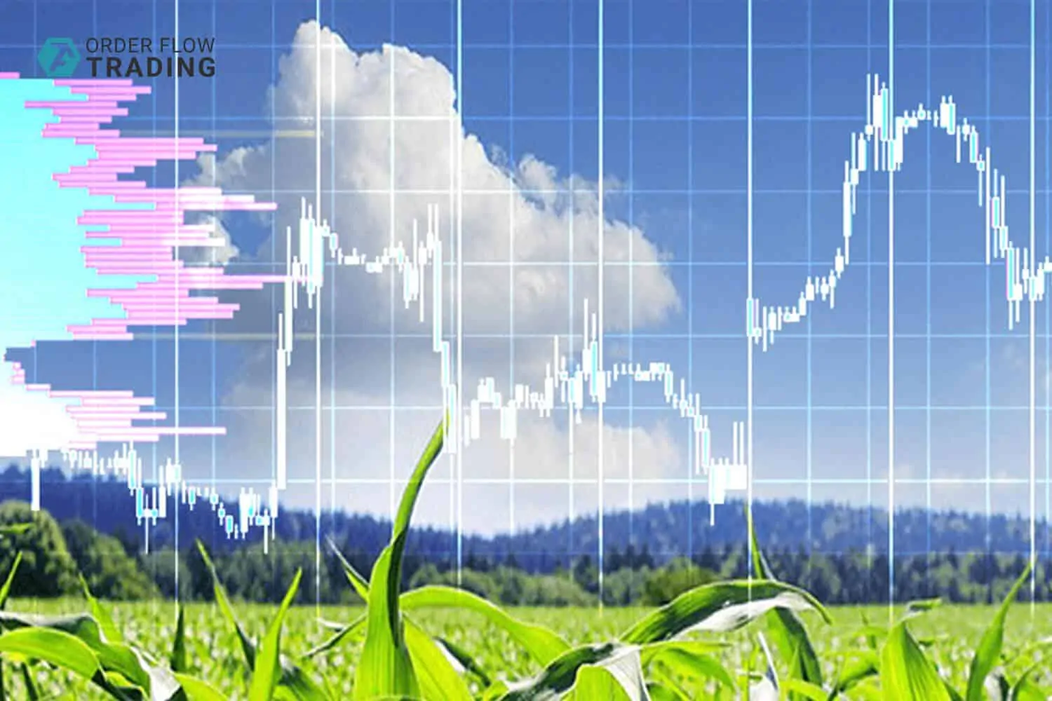 Corn futures: 7 important things you should know. Part 1