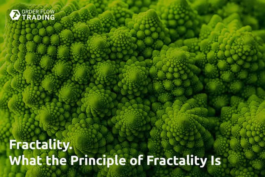 Fractality. What the principle of fractality is