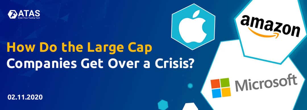 How Do the Large Cap Companies Get Over a Crisis