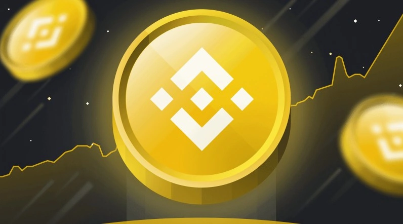 What the Binance Coin is. How to trade BNB
