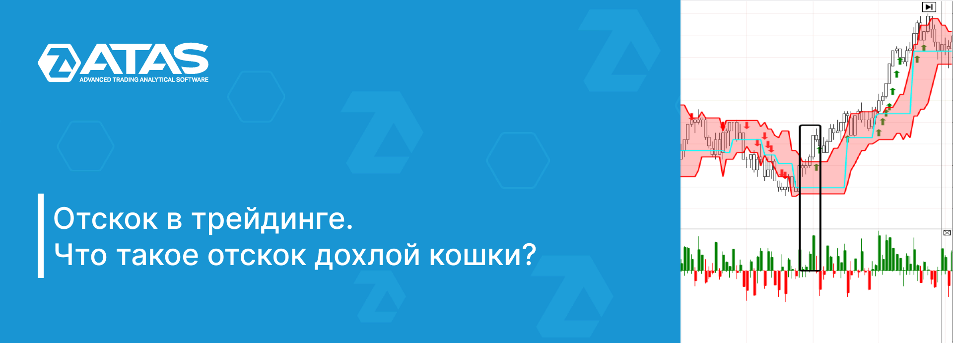 Отскок в трейдинге. Что такое отскок дохлой кошки | ATAS