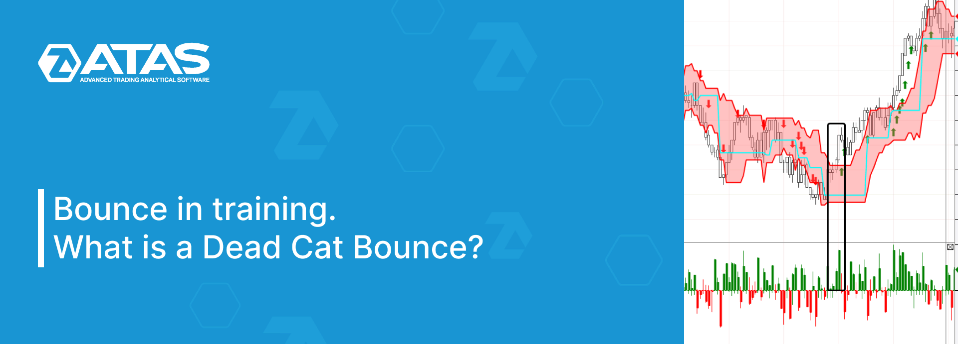 Bounce in training. What is a Dead Cat Bounce?