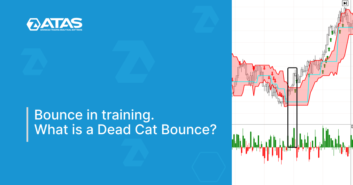 Bounce in training. What is a Dead Cat Bounce?