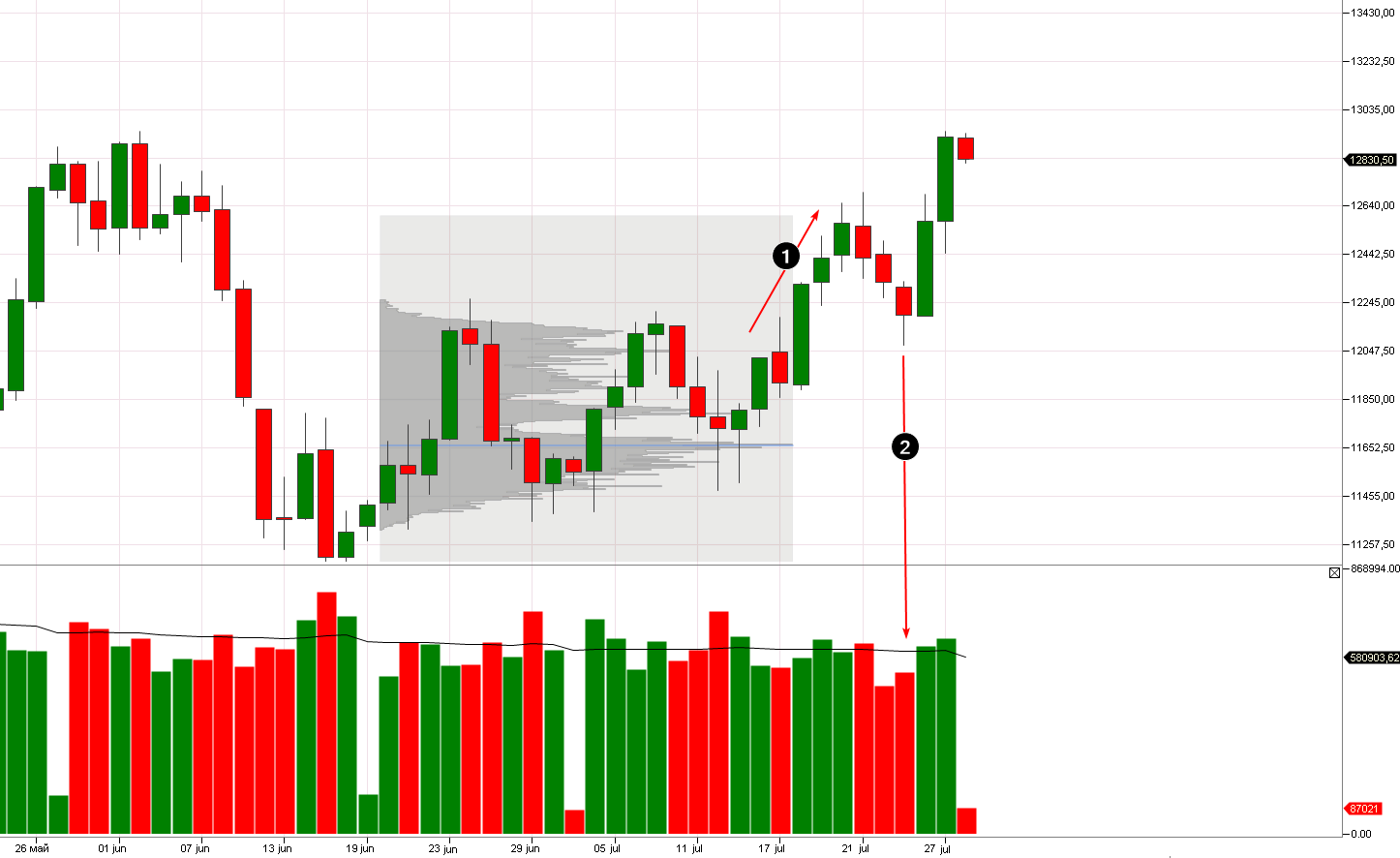 VSA testing. NQ daily chart for 2021