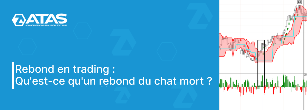 Qu'est-ce qu'un rebond du chat mort