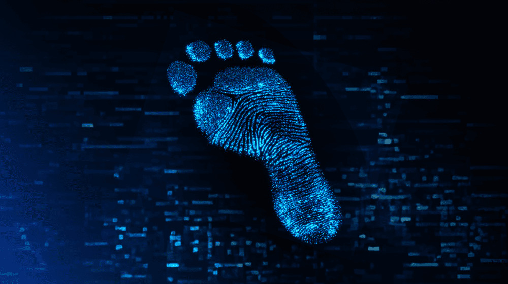 Basics of Footprint Charts