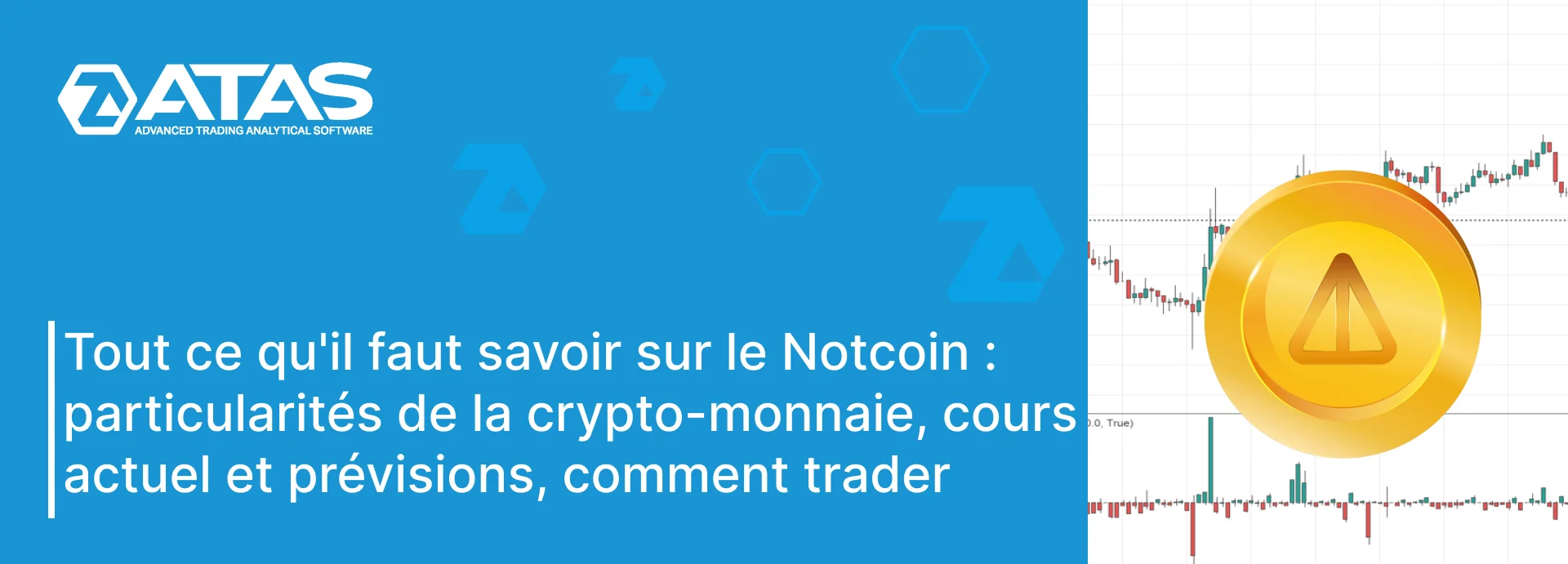 Tout ce qu'il faut savoir sur le Notcoin