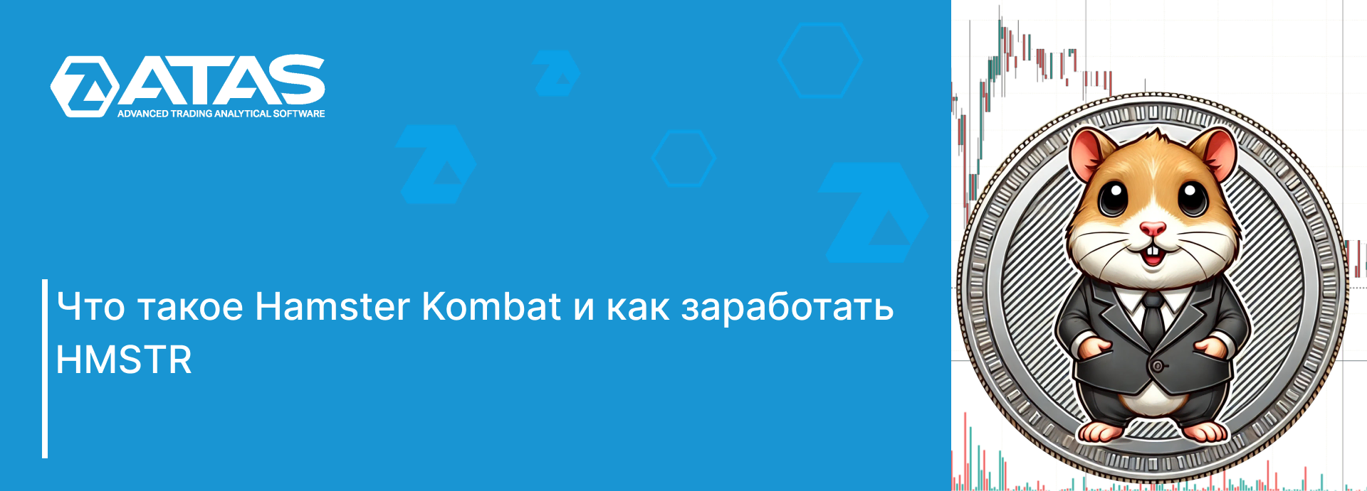 Что такое Hamster Kombat и как заработать HMSTR