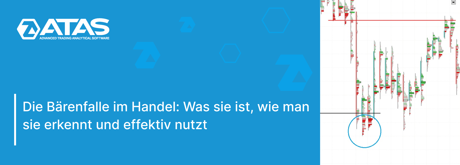 Die Bärenfalle im Handel Was sie ist, wie man sie erkennt und effektiv nutzt