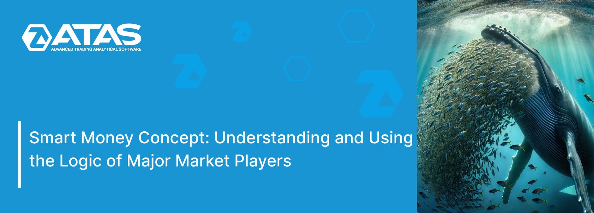 Understanding and Using the Logic of Major Market Players