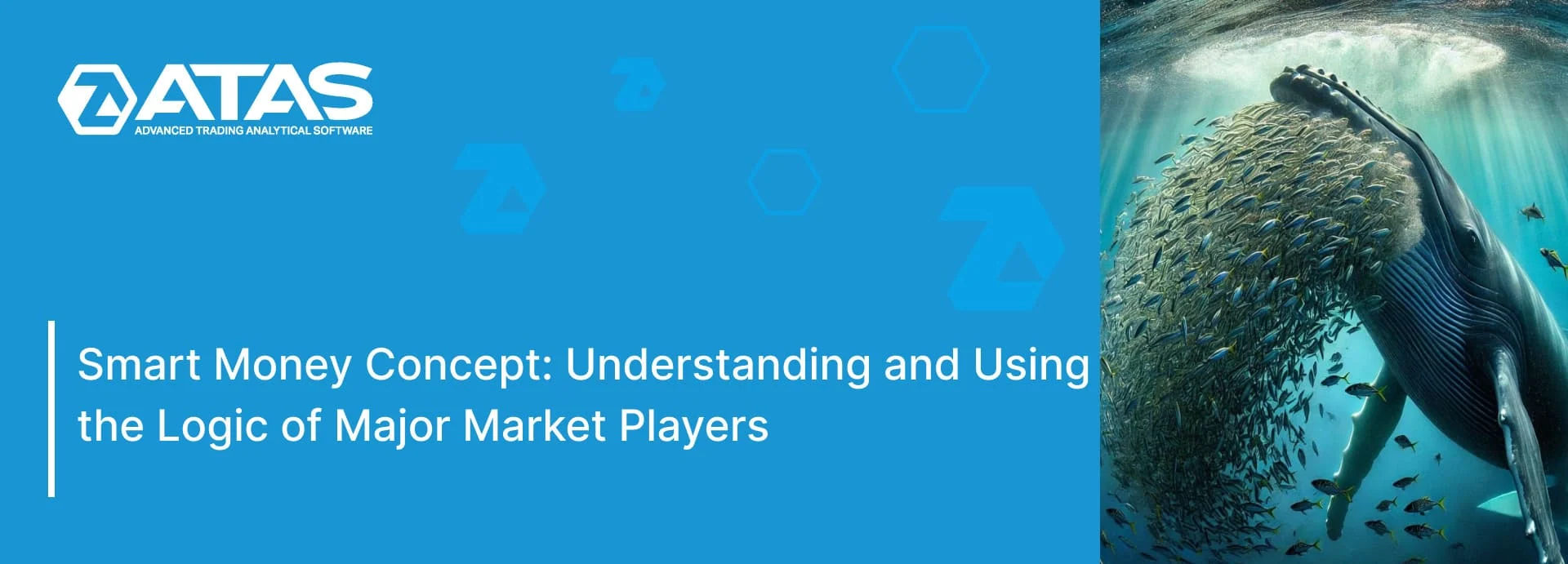 Understanding and Using the Logic of Major Market Players