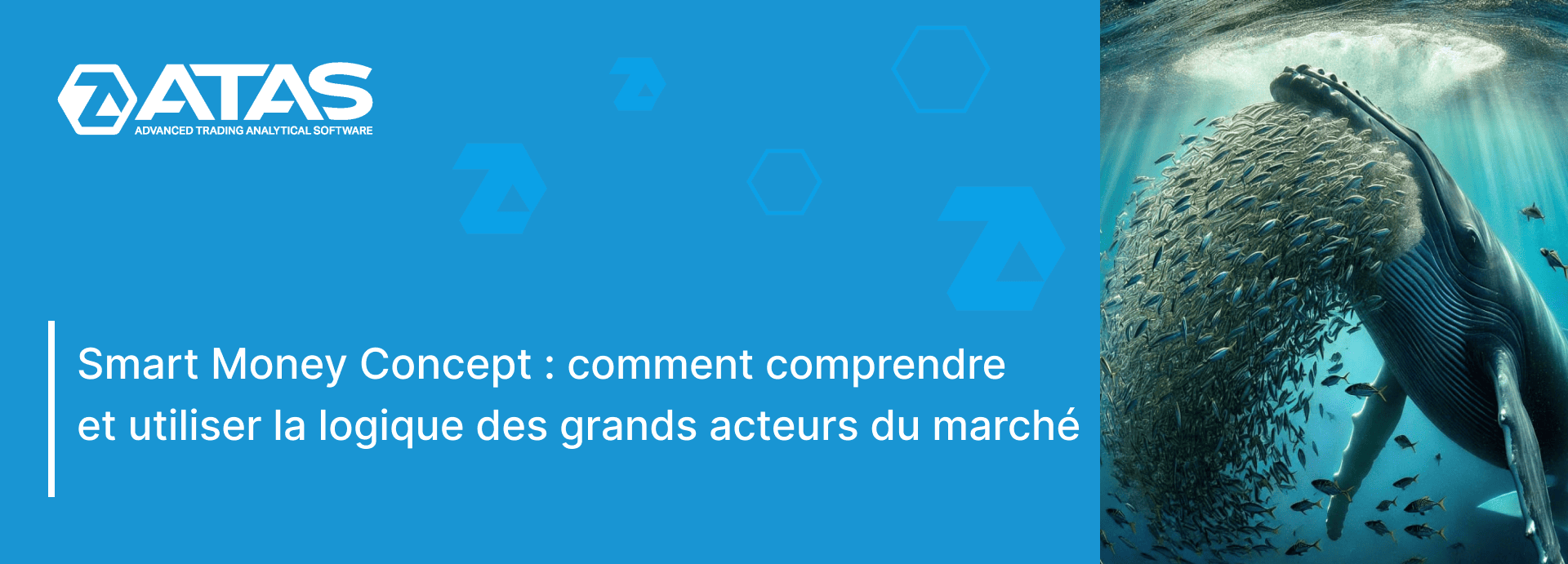 Smart Money Concept comment comprendre