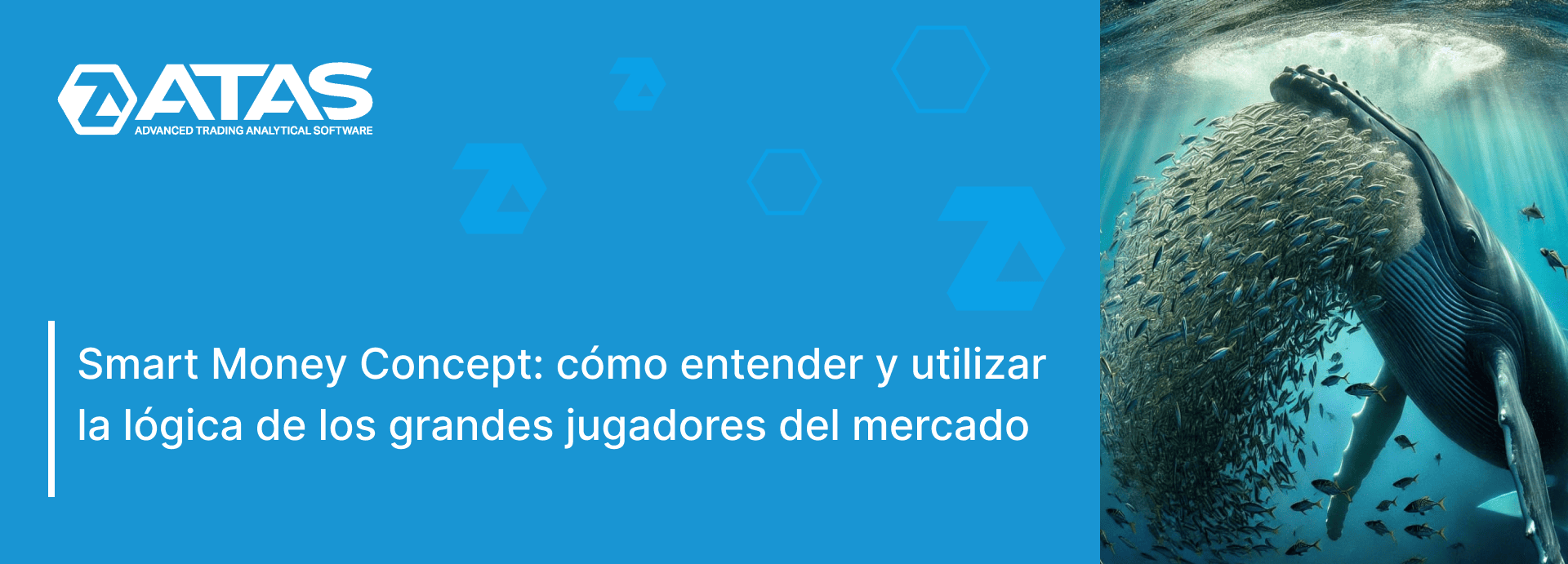 Smart Money Concept cómo entender y utilizar