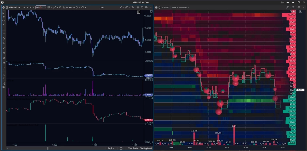 Example workspace for liquidation analysis