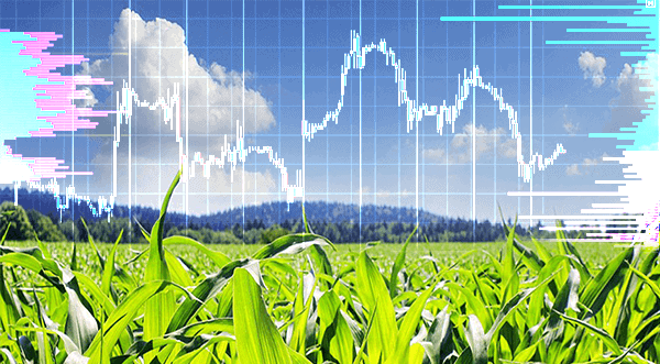 Mini Corn Futures